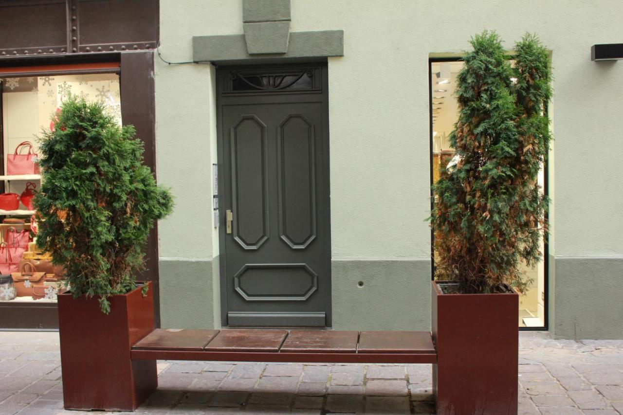 101 Cour De La Bastide Apartman Carcassone Kültér fotó